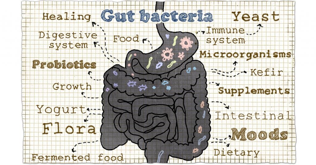 Gut Health