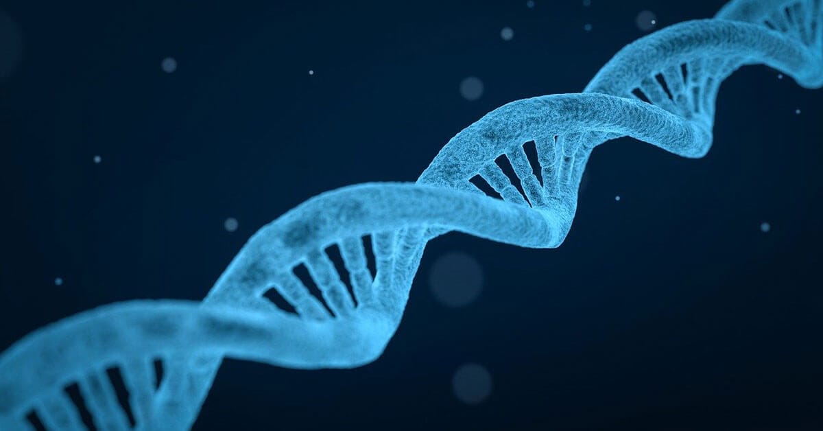 Can MTHFR affect your thyroid and be a root cause of Hashimoto’s disease?