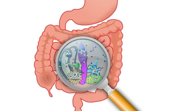 Symptoms of intestinal parasites and a functional medicine approach