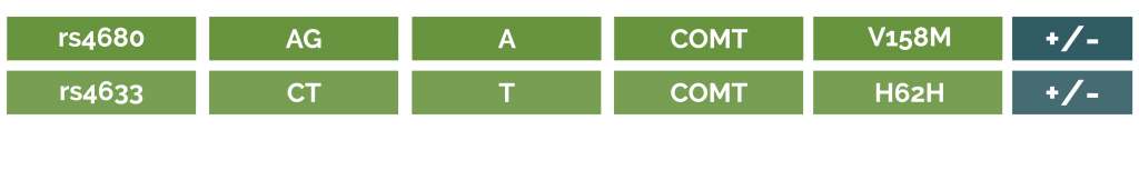 COMT gene profile