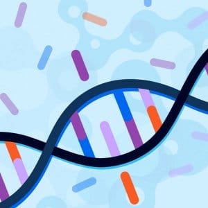 MTHFR: Genetic mutation may be an underlying cause of weight gain or prevent weight loss