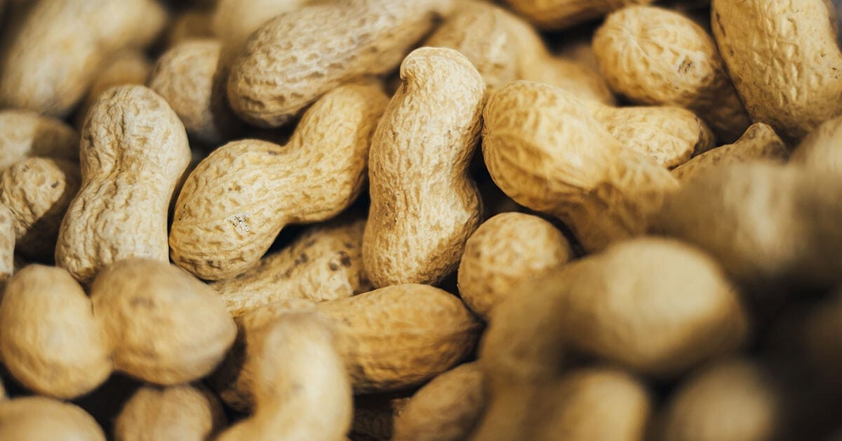 The difference between food allergy and food intolerance Australia