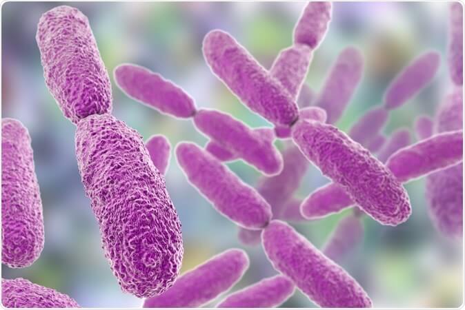 Clearance of Klebsiella bacteria and its symptoms