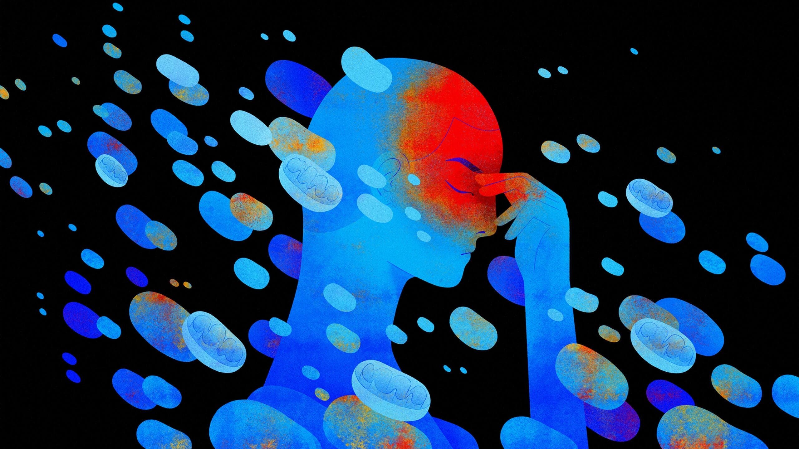 How to optimise mitochondria and Energy Production