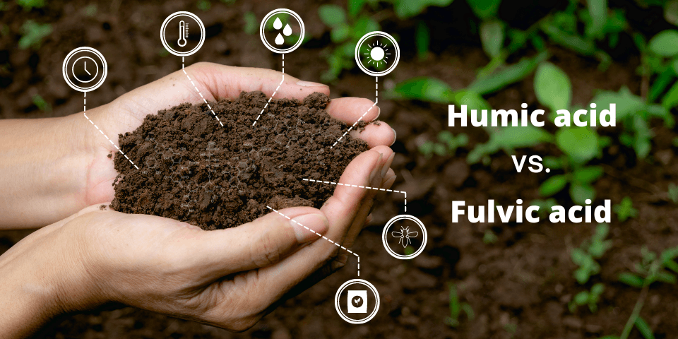 Fulvic Acid benefits - What is Fulvic Acid and how to supplement it?