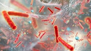 What are biofilms and are they harmful?