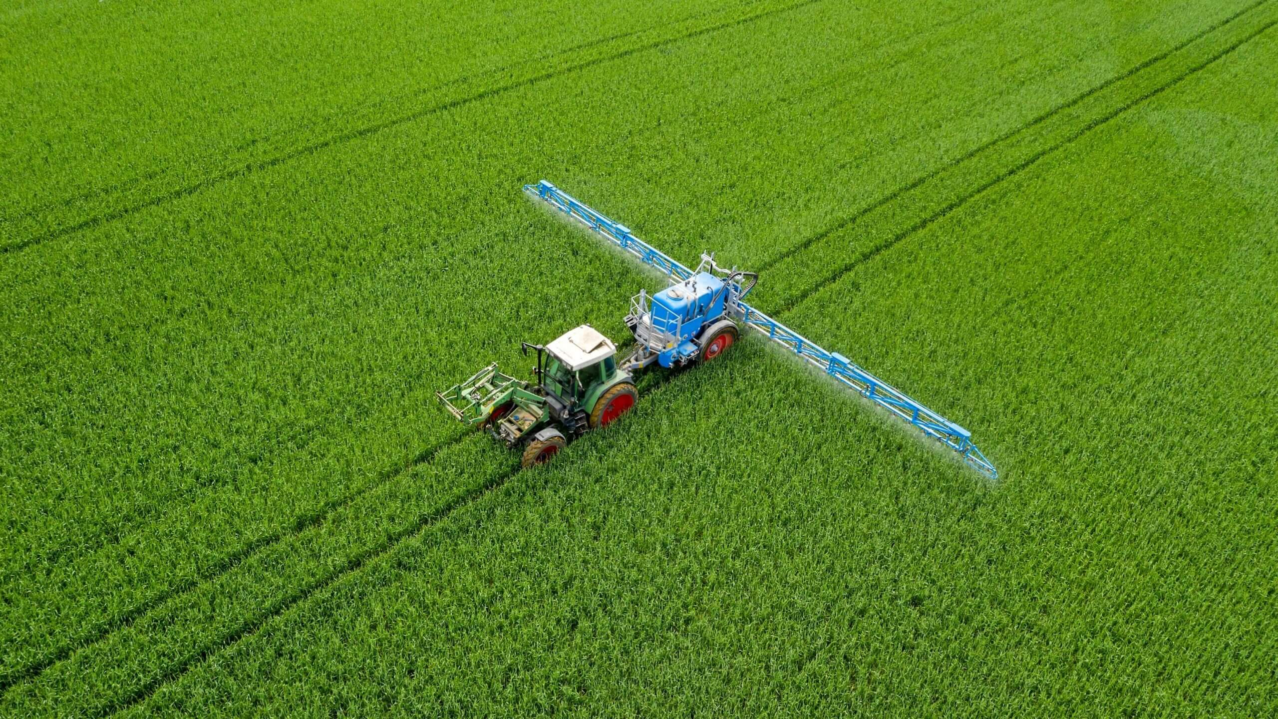 Glyphosate and how it impacts our health