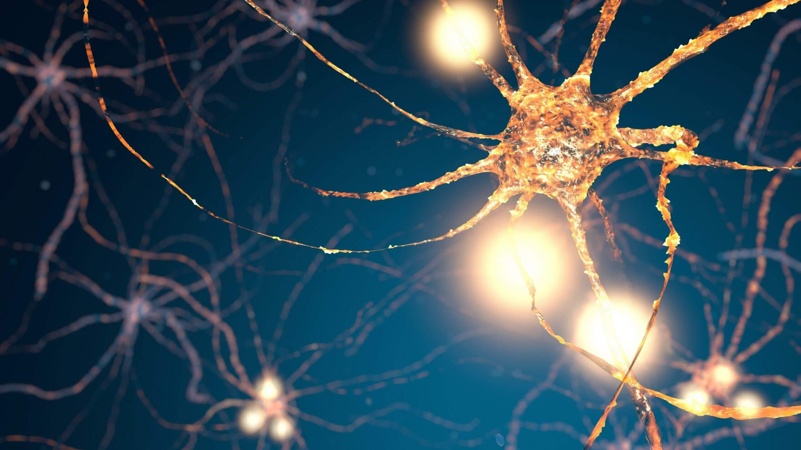 Mast cell activation syndrome – what is it and how do I alleviate my allergies?